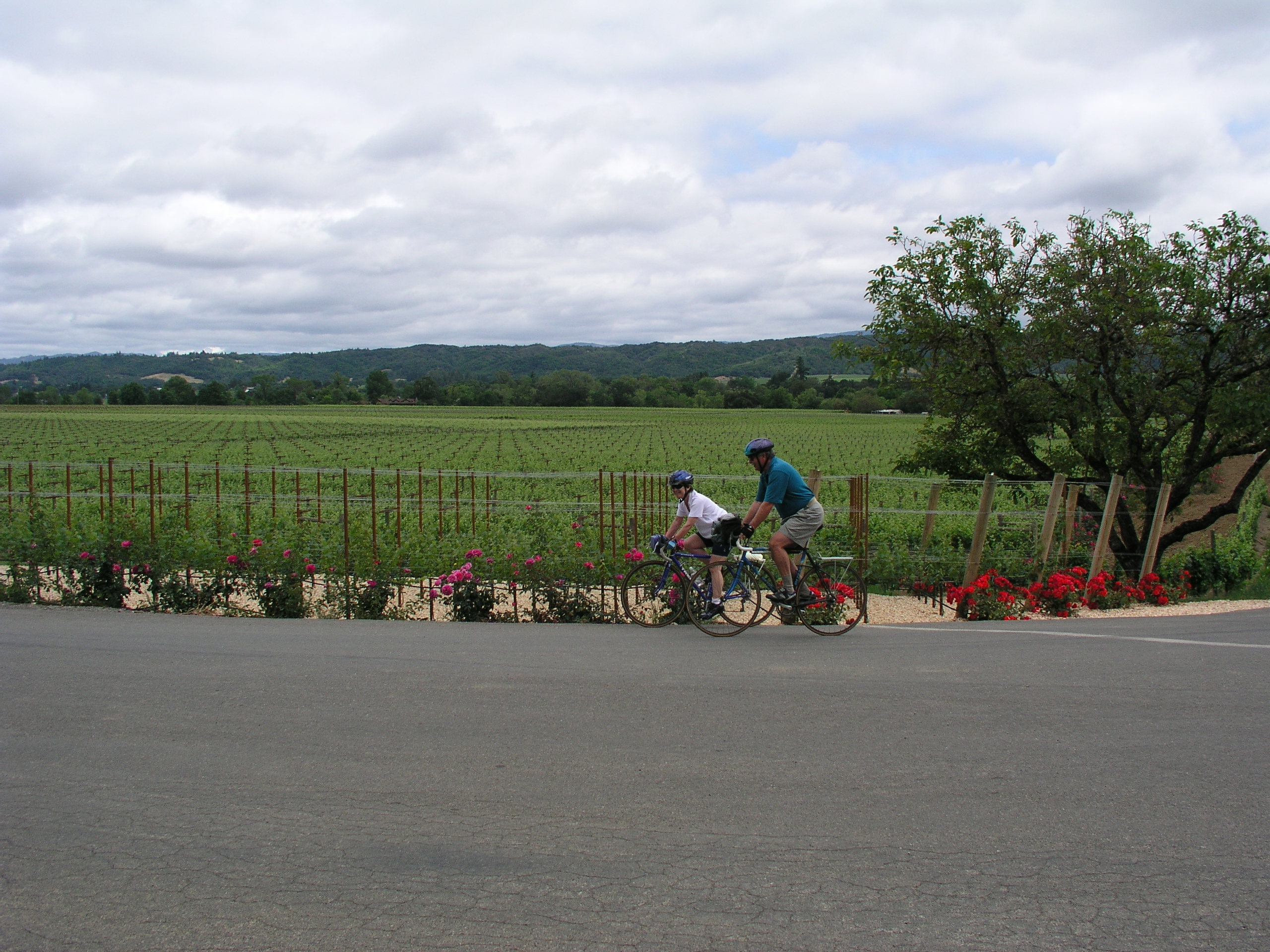 cycling