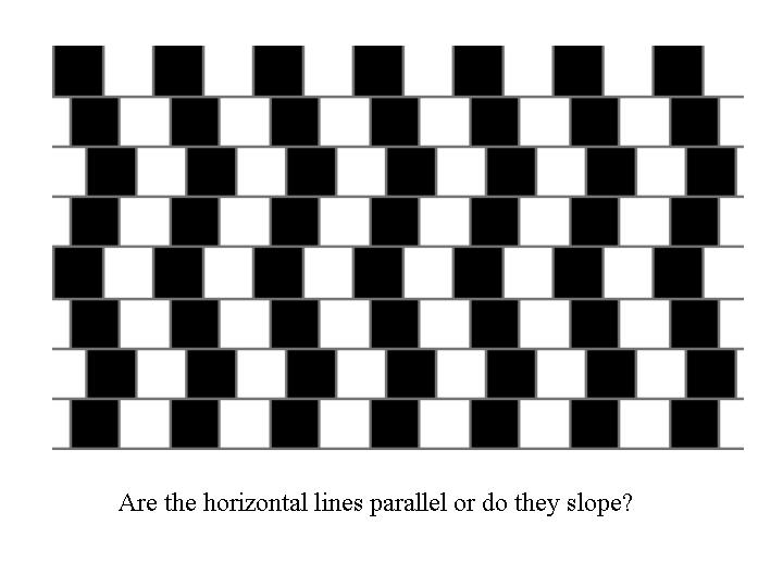 Lines Lines
