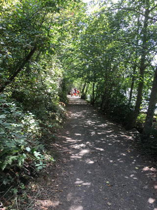 trail trail