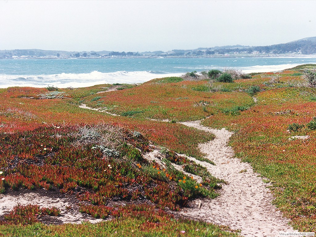 Half Moon Bay