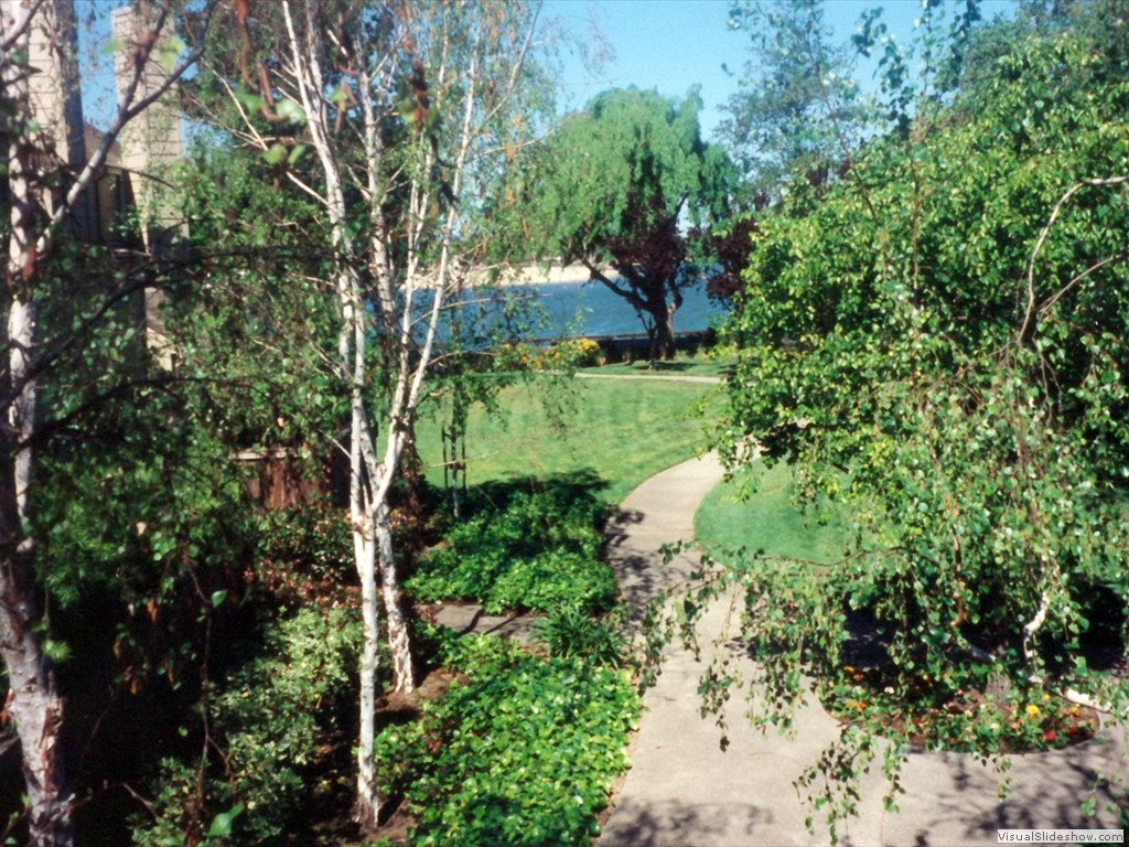 View from the back of our Harbortown condo