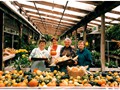 Marylin Moody, Steph, Sue, Jackie, and Mumsy in Half Moon Bay