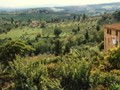 Countryside from San Gimignano
