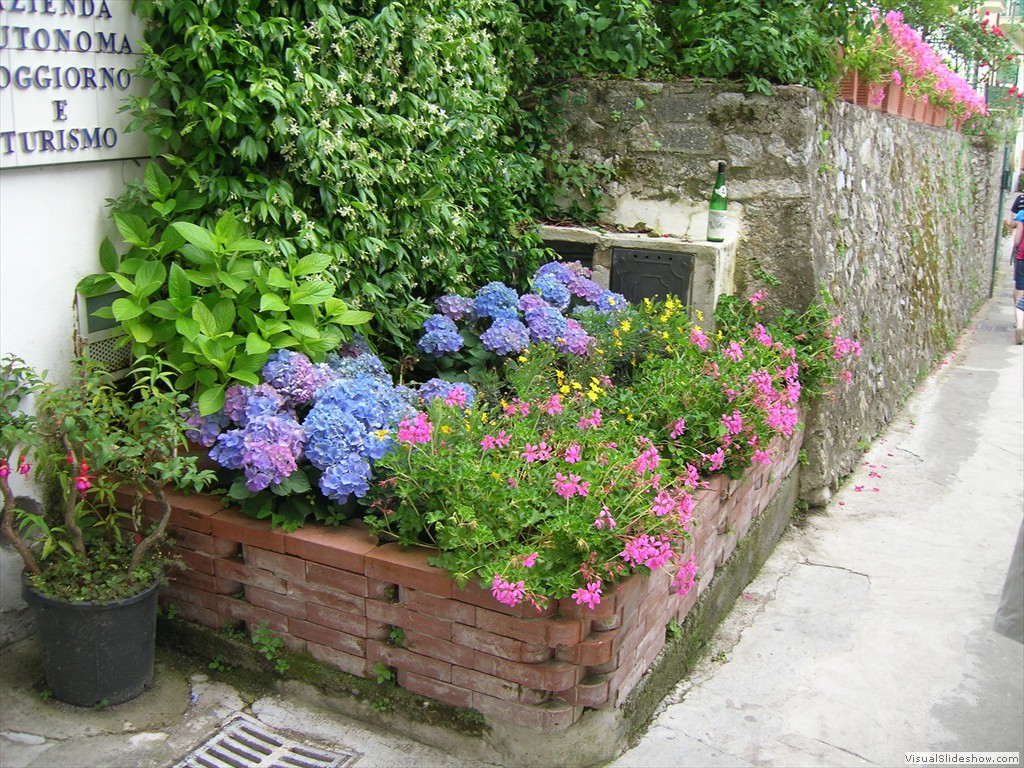 Ravello flower box