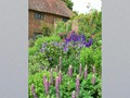 Sissinghurst Castle gardens