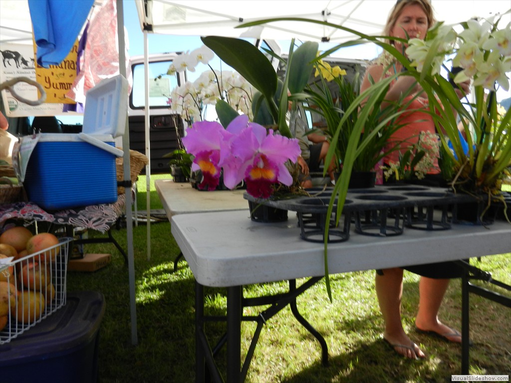 Orchids at Princeville Market