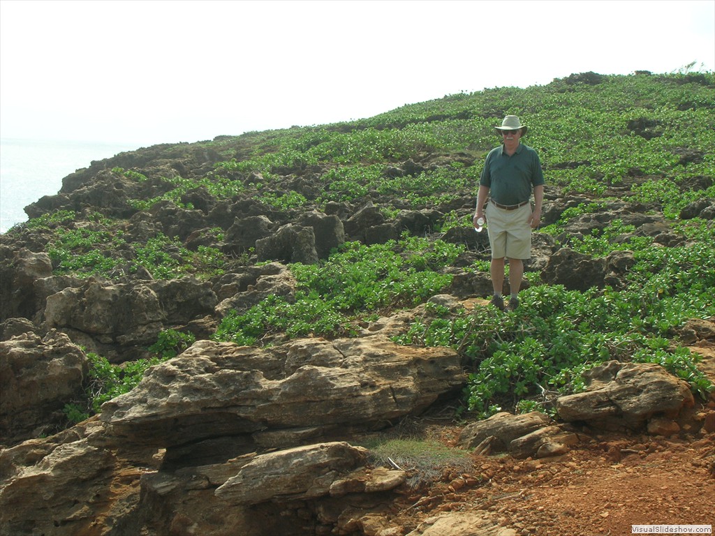 Shoreline hike, Poipu