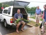 Palm frond weaver