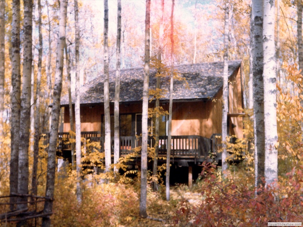 Cabin in the Fall