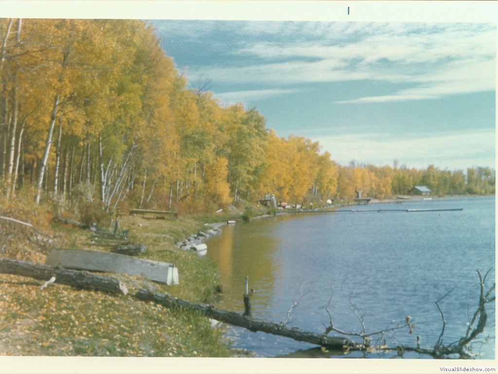 Shoreline in Fall