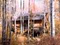 Cabin in the Fall