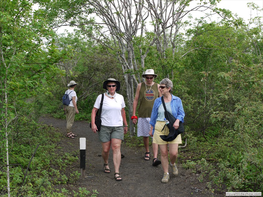 Typical trail in the Galapagos