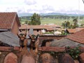 Peruvian totems on almost all rooves