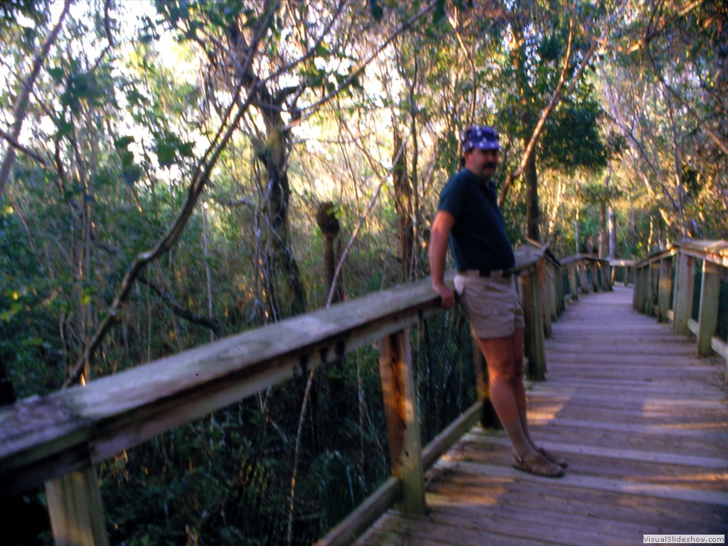 Florida Everglades