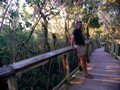 Florida Everglades