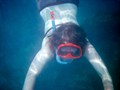 Snorkeling in the Caribbean off Aruba