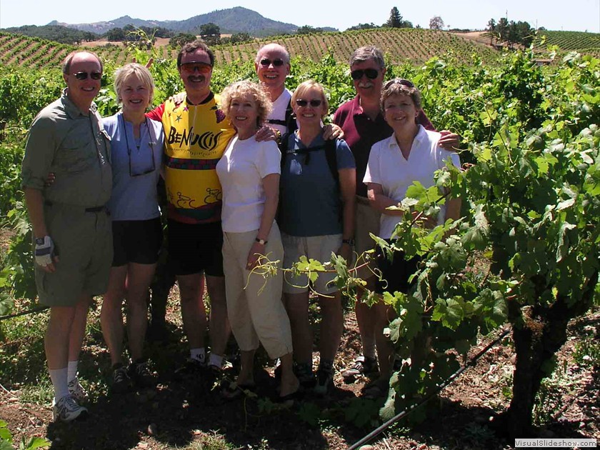 Another year at Lytton Springs Winery